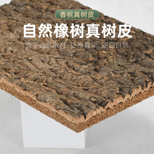 Champagne Bark with Back Panel, Natural Real Bark, Landscaping Decoration, Green Planting Wall Climbing Pet Box Background Board, Cork Bark