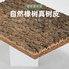 带背板香槟树皮天然真树皮造景装饰 绿植墙爬宠箱背景板 软木树皮