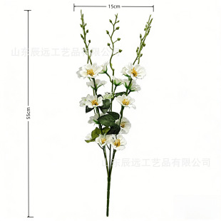 �羳���Q20�^�ϙ�հ������滨�zӰ���߾Ӽҙ����[���bٻ����l