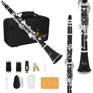 SLADE��y�λɹ�17�I�ڹ�ABS���w�W�����˘�����ཱུb�λɹܘ���