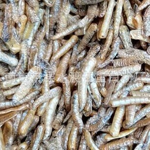 ���ω���x�~�rз���x�������ˮ�a�D�ό���ʳƷ��������Tʳ�D��