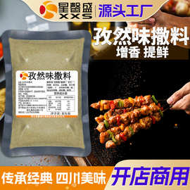 星馨盛 DS109孜然味撒料 烧烤调味粉撒粉商用夜宵餐饮店调味料