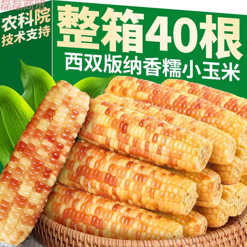 5kg Юньнань Сичуаньбанны, ароматная маленькая кукуруза, свежий завтрак, вакуумная упаковка, готовая к употреблению, коммерческая оптовая продажа