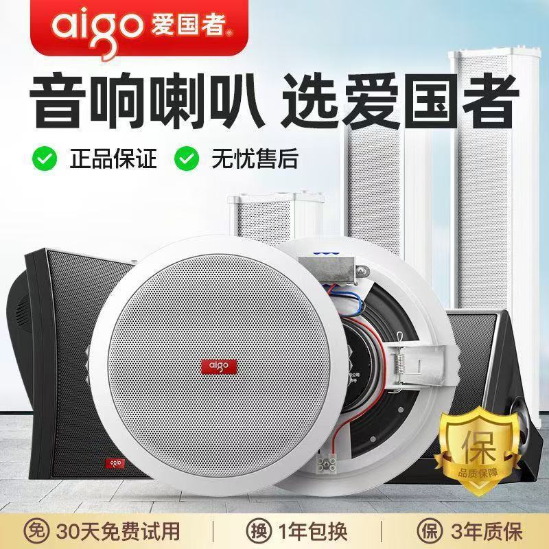 Patriot 5.5inch Ceiling Speaker Ceiling Wall-Mounted Public Broadcast Audio Commercial Store Indoor Ceiling Height