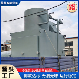 Pet Funeral Vehicle-mounted Incinerator Animal Harmless Incinerator Small Pyrolysis Automatic Incinerator