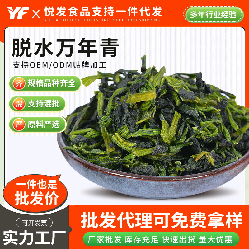 脱水蔬菜干万年青包菜叶干煮汤泡面伴侣方便面蔬菜包菜叶干厂家批
