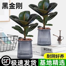 �ڽ�����Ƥ�������҃ȾGֲ����ȩ�ļ����B�׻�����՚����z��ֲ��