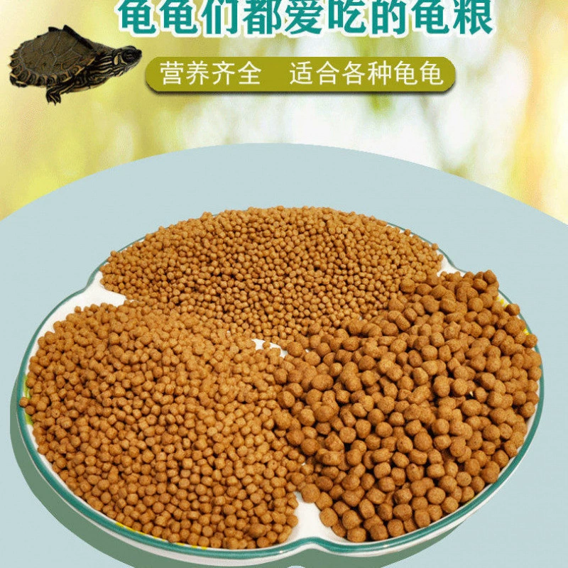 Turtle turtle grain special grain seedlings open grain, small turtle turtle turtles Brazilian turtle turtle little turtle feed universal
