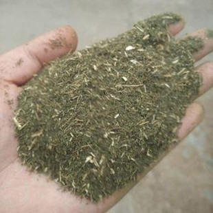 ����� ���~����  ����~�� ����~�� ������� ���ԭ�� ����ԭ