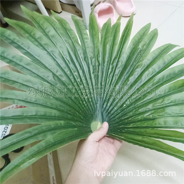 大型舞蹈演出道具树棕榈叶椰子叶绿色大叶子运动会入场道具用品