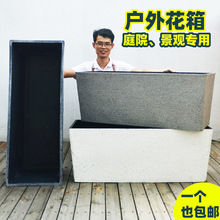 �L���λ��������ͥԺ�Nֲ�R�����̨�������ϴ��豱�W�L�Gֲ