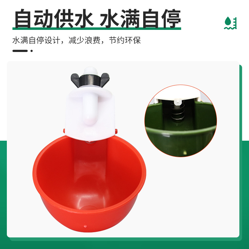 Exportación transfronteriza integrada tamaño medio completamente automático pollo tazón de agua de pollo tazón de agua de pollo alimentador de palomas tazón de agua de pollo de cinco colores