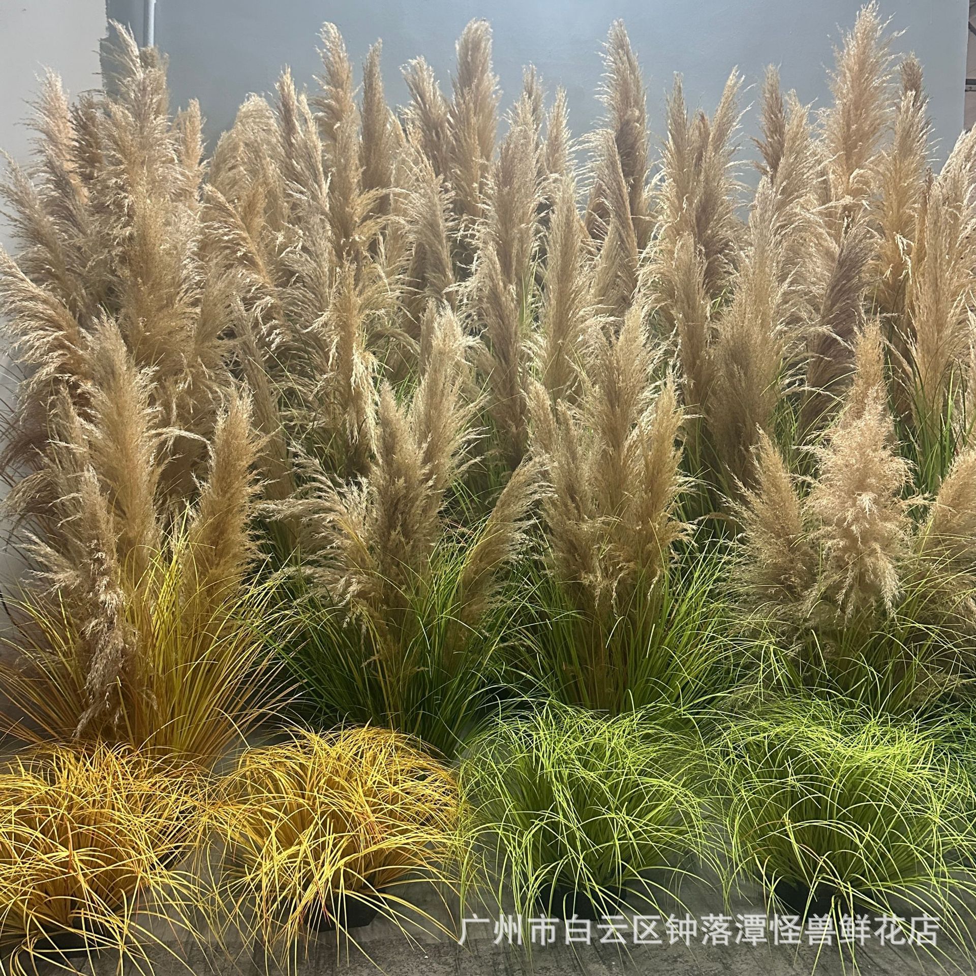 真芦苇芦苇草仿真植物网红in风酒店家居商场橱窗装饰婚庆影视道具
