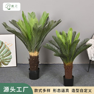 ����Gֲ�K�F�������҃ȼҾӾƵ��̈��쾰����b�ֲ��[���٘�