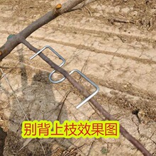 ��������֦���_���������O���䉺֦��֦�e֦���_֦��������֦��