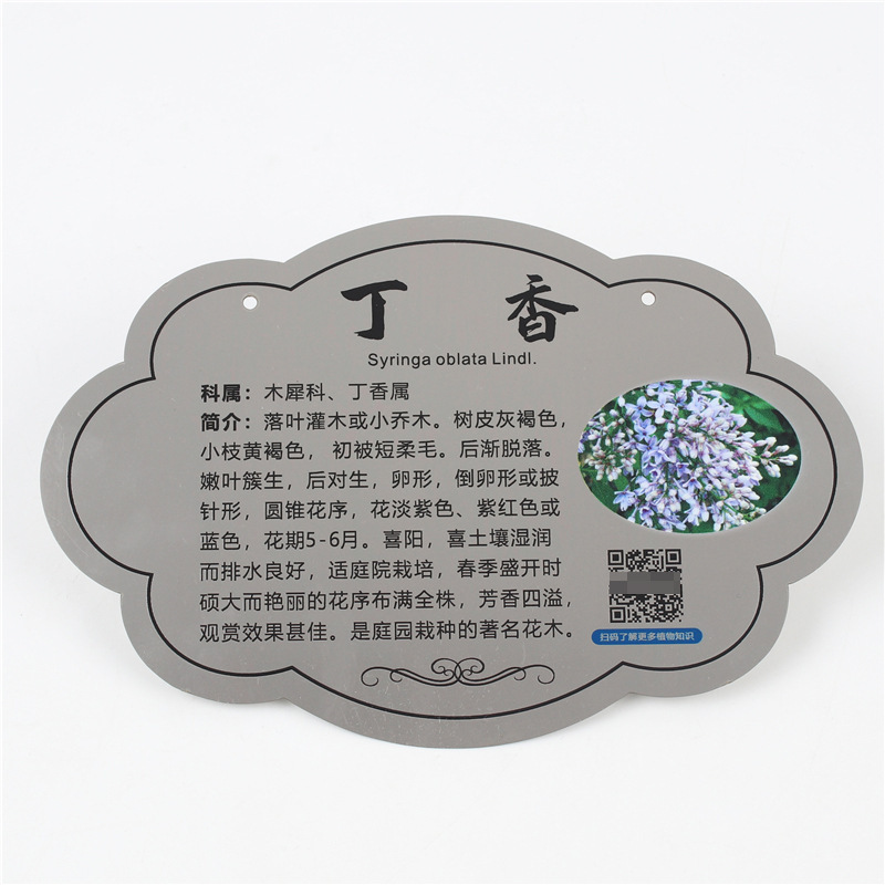 Stainless Steel Tree Tags Wholesale School Park Flower and Plant Tags Arbor Day Plant Tree Adoption Introduction Signs Stainless Steel Tree Tags Wholesale School Park Flower and Plant Tags Arbor Day Plant Tree Adoption Introduction Signs