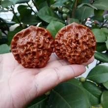 ���e�������¹�ñ���Ҫ{���^ ������� ����ұ��� �����������l