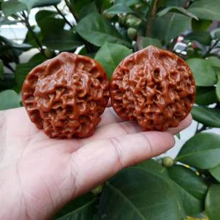 ���e�������¹�ñ���Ҫ{���^ ������� ����ұ��� �����������l