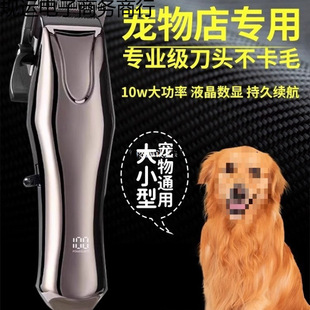 ���ﹷ����ë����Ƽ���������ӹ�ë�������Ȯ��Ƽ�