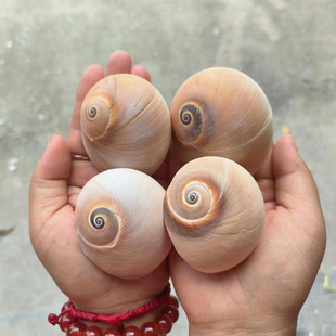 ��Ȼ�����ݺ�ؐ���~���b�diy��Y���N�R���ؐ�~�ľ�з��