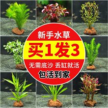 ��ɽʯˮ��ֲ������ˮ�žG���~���쾰�o���ɰ��������к󾰲�