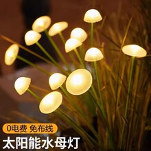 �羳̫����Ģ��ˮĸ�ƻ���ͥԺ��̨��ƺ�ز�ƽ��շ�Χװ�ε�����