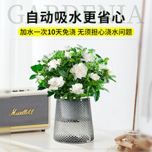 ˮ��ֲ��d�ӻ������ļ��������҃����򻨻ܾ�����Gֲ���̨����