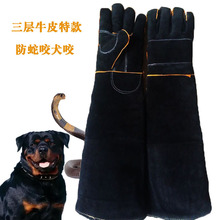 �S��ֱ�N����ţƤ����ҧ���״���ȮҰ������߈��Bֳ���o�غ�ӖȮ