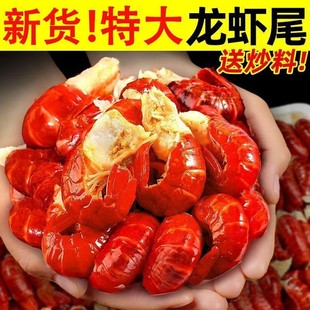 �����؟o���¡����rβ����o����̖���rβȥ�^���r�����l��S���]