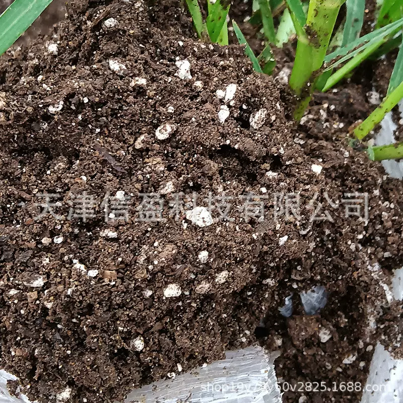 供应通用型营养土蔬菜多肉花卉草莓园艺盆栽有机育苗基质种植土