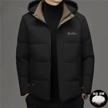 �����q�����u��2026�¿���ʿ�ފA���ﶬ���Ӻ�ů���L�޷�