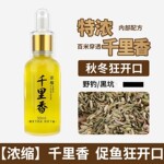 千里香小药钓鱼诱鱼剂大全果酸野钓鲤鲫鱼野钓黑坑专用饵料鱼饵药