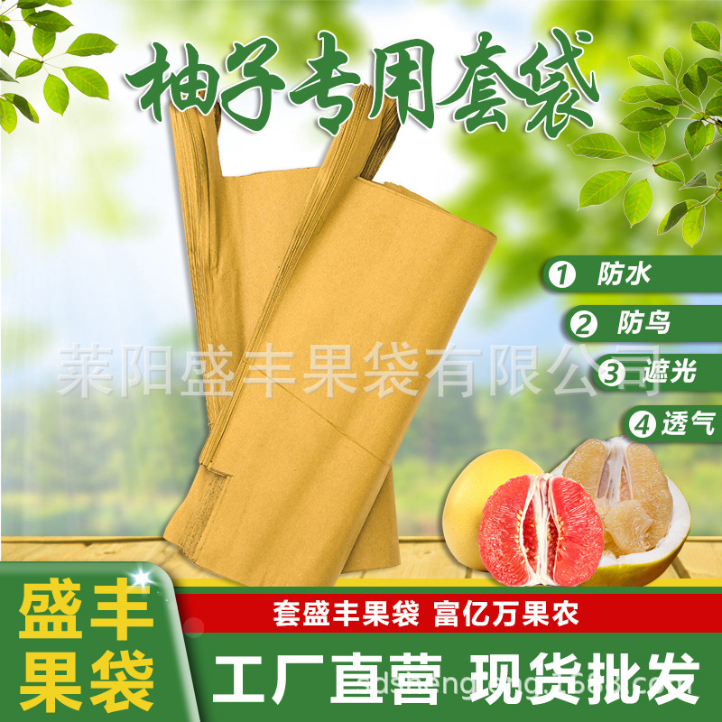 【盛丰】柚子专用套袋沙田柚蜜柚专用套袋防鸟防虫柚子保护纸套袋