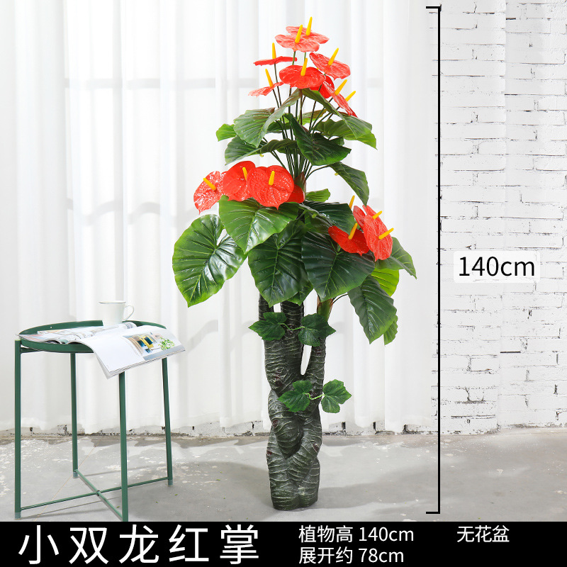 Árbol de alcanfor rojo Pequeño dragón Doble