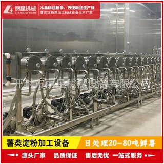 丽星淀粉生产设备 可加工红薯等薯类淀粉原料 日处理鲜薯25-100吨