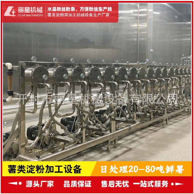 红薯淀粉加工机器 开封丽星供应日产5-10吨薯类淀粉生产线