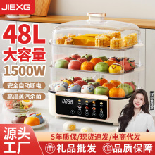 德国电蒸锅家用多功能三层大容量电蒸锅蒸煮一体防干烧蒸锅量批发