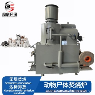 Animal Harmless Treatment Equipment Manufacturers Wholesale Direct Pet-Specific Funeral Furnace Pet Carcass Incinerator