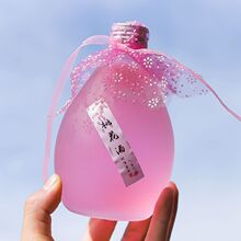 ͸����ɰ�����׾�ƿ��ƿ500mlһ���b�B������ƿ6ƿ����������