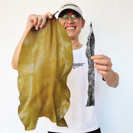 千鲜都霞浦海带干原产地海带头段50公分挂晒干净500g