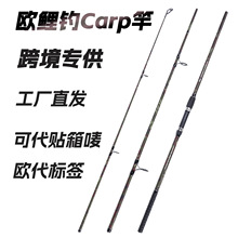 跨境专供 carp竿 钓鱼竿 三节CARP碳素鱼竿 欧鲤钓 工厂低价批发