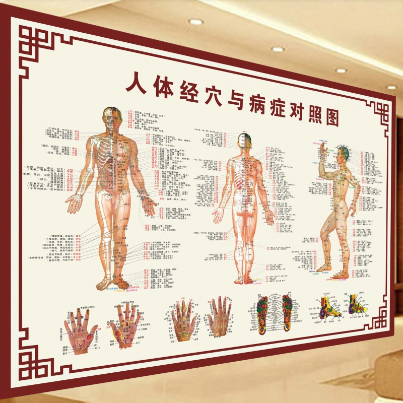 穴位图人体穴位图针灸经络拔罐经穴与病症对照中医大挂图跨境其他