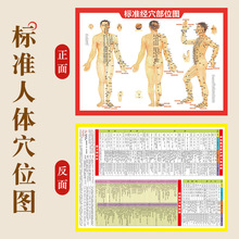 艾灸专用穴位图标经穴部位图常用施灸取穴参考表针灸艾灸图灸书