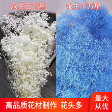 霞草 霞草品牌 图片 价格 霞草批发 阿里巴巴 霞草 霞草品牌 图片 价格 霞草批发 阿里巴巴