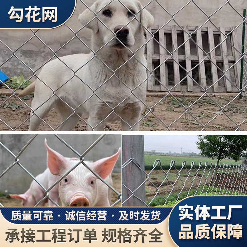 镀锌铁丝网勾花网围栏家用圈牛羊防护养殖网果园隔离护栏网防锈