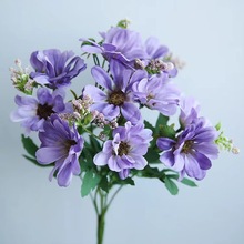 ���R�O12�^С�r�շ��滨�� ��@�L���º��m�ռٻ����Wins���滨