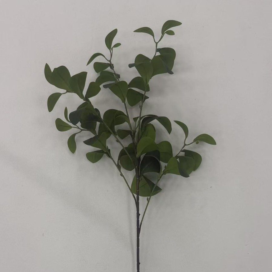 仿真白网叶琴叶榕玉兰叶茶花叶豆瓣叶高山榕家居装饰树枝叶摆件
