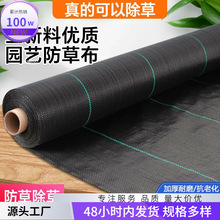 �ڲ��w���俹�ϻ��ݲ��r0230���@�������N����ݲ���������26