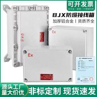 Explosion-proof distribution box additional installation explosion-proof wiring empty box instrument terminal power supply control shell switch maintenance BJX