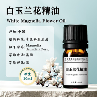 �����m������Magnolia Oil������޹������Ժ�o�wԭ�����ṩ���ʹa